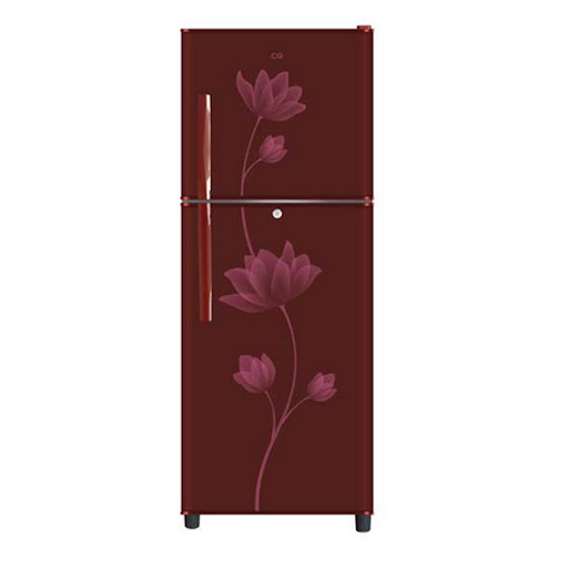 Double Door Refrigerator(CG-D250P2.RM)